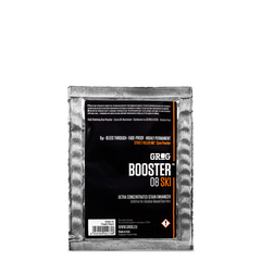 Booster 08 SKI